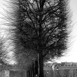 A Winters Day